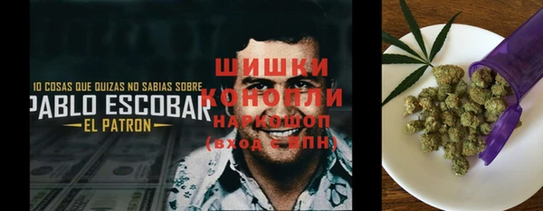 гашик Лагань