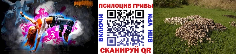 Псилоцибиновые грибы Cubensis  Приволжский 