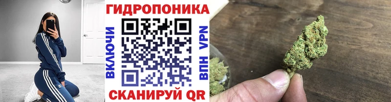 Бошки марихуана OG Kush  даркнет официальный сайт  Приволжский 